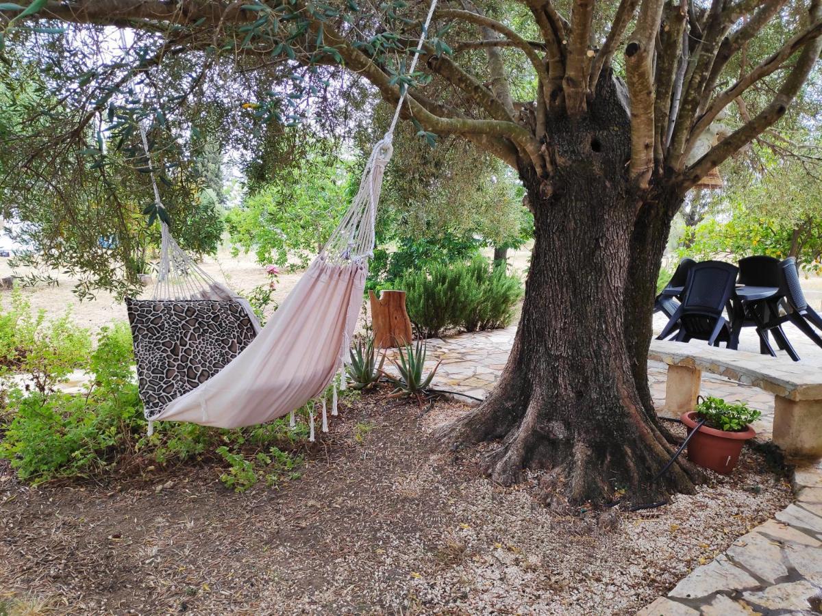 Dreamy Stone House Βίλα Πεσάδα Εξωτερικό φωτογραφία