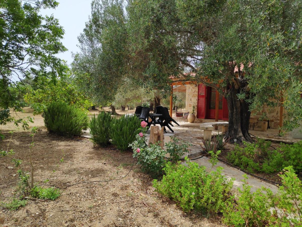 Dreamy Stone House Βίλα Πεσάδα Εξωτερικό φωτογραφία